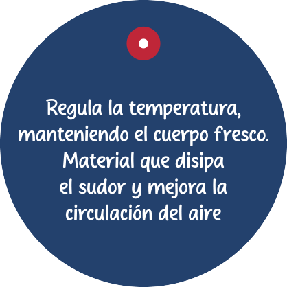 Tecnologia 4 reverso